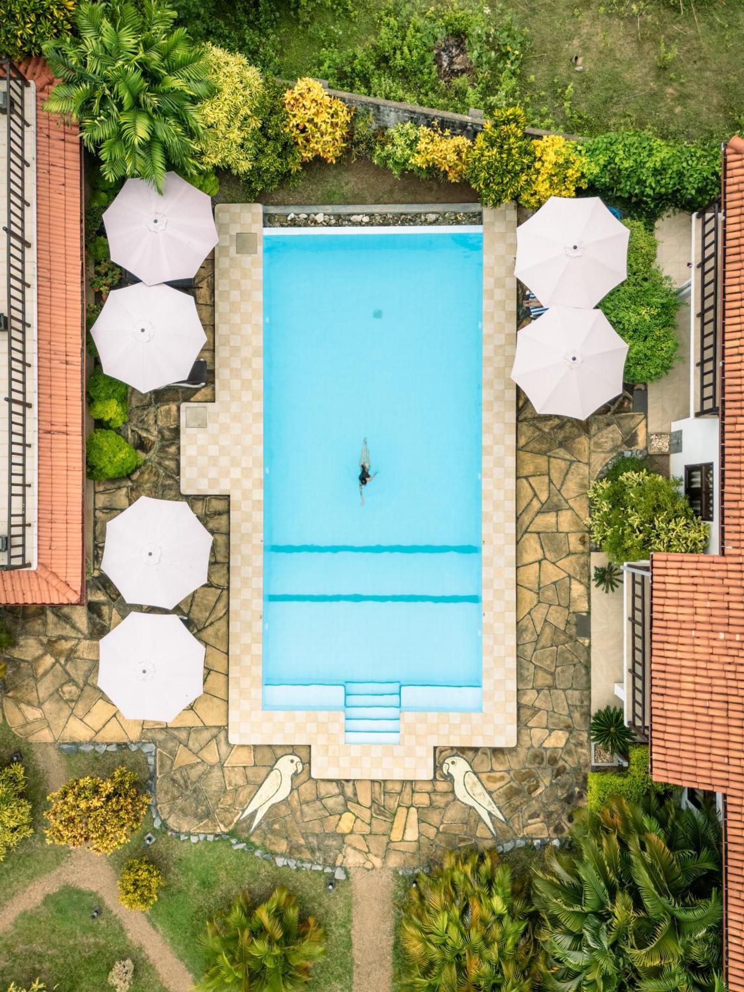 Green Parrot Beach Resort Tangalle Exteriör bild